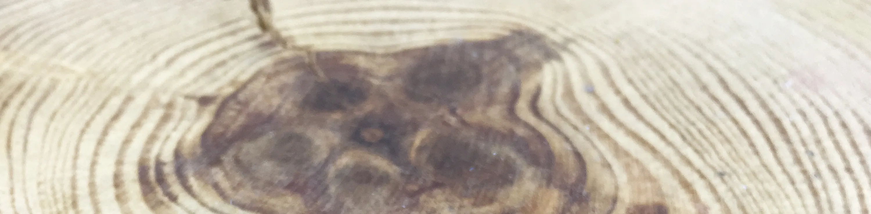 The Handcrafter Workshop | 金属工艺、吊坠、戒指、手镯、皮革、押花工作坊 | 葵兴